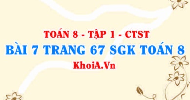 Bài 7 trang 67 SGK Toán 8 Tập 1 Chân trời sáng tạo